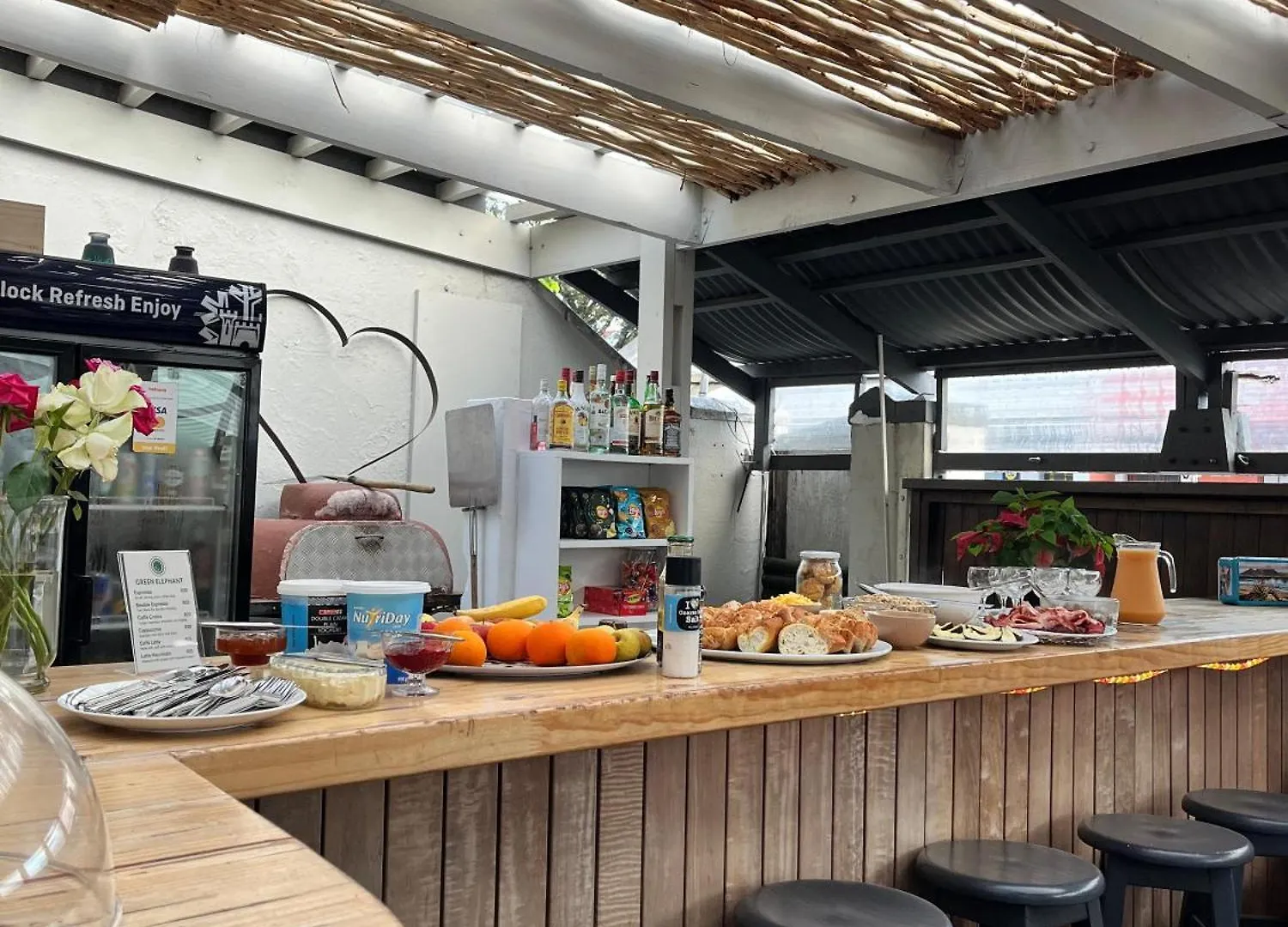 Hostel Green Elephant Backpackers Cape Town South Africa