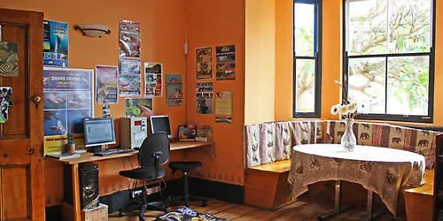 Hostel Green Elephant Backpackers Cape Town South Africa