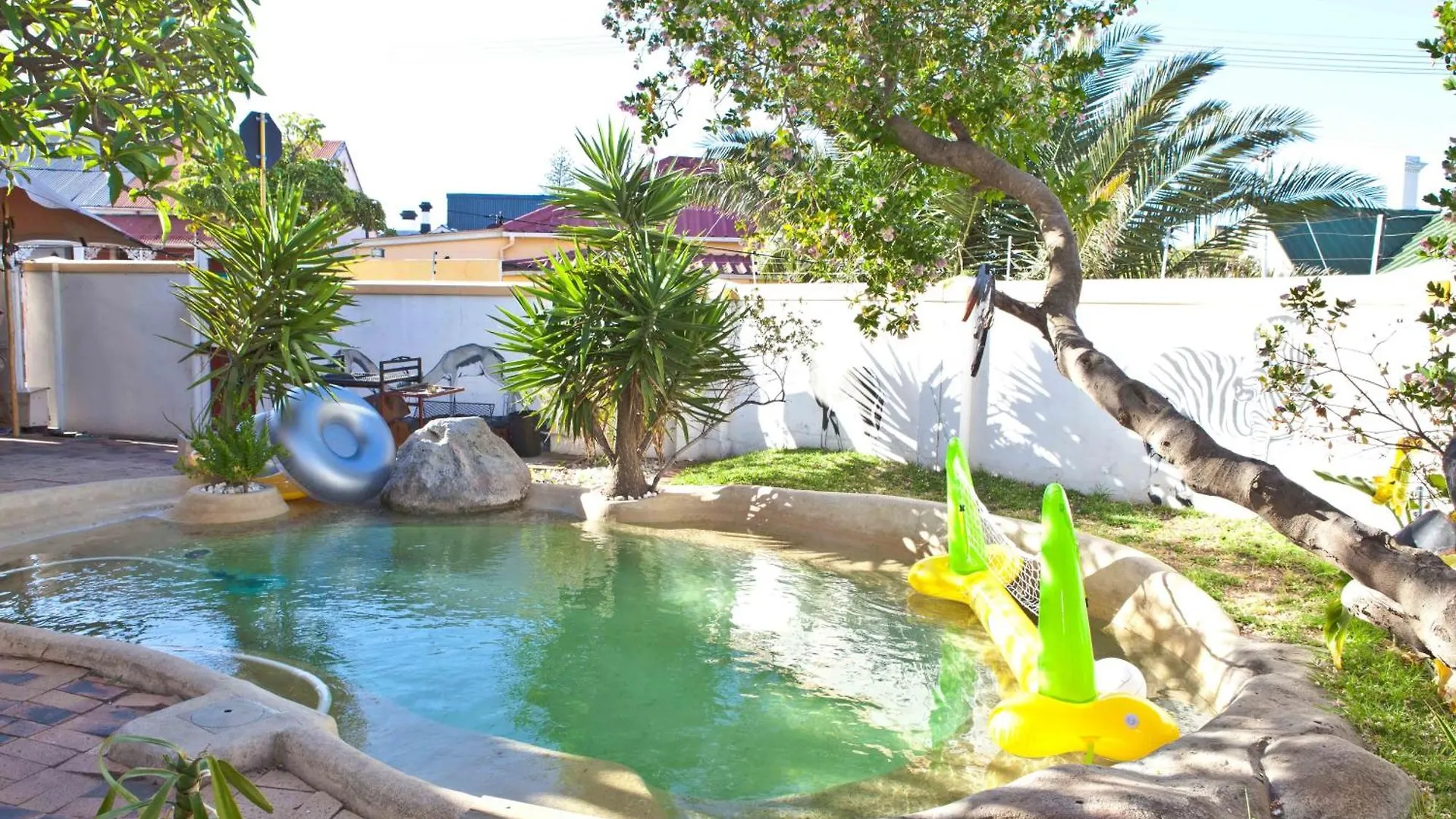 Green Elephant Backpackers Cape Town South Africa