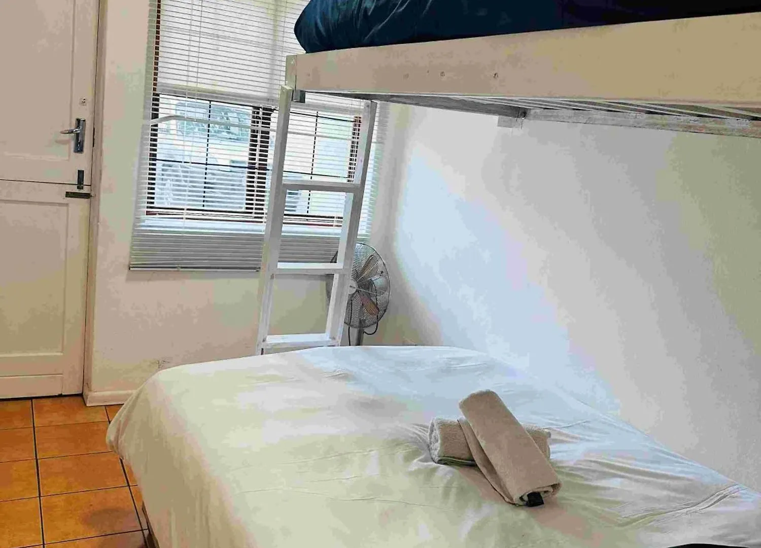Hostel Green Elephant Backpackers Cape Town South Africa